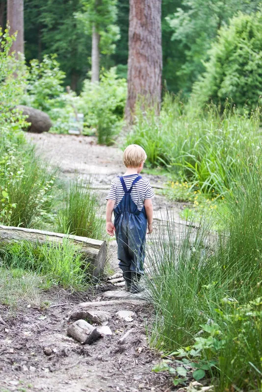 Nursery Forest